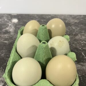 Green bloom eggs