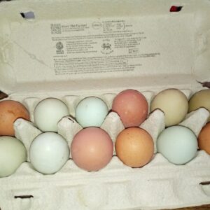 12 x large breed mixed chicken eggs