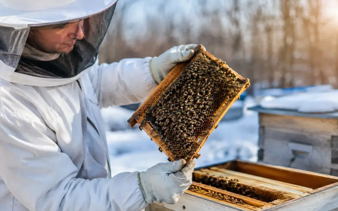 Buying Over Wintered Nucs of Bees With Confidence