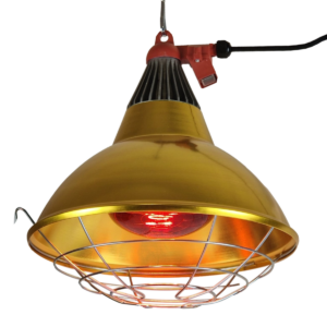 Heat Lamp with golden shade.