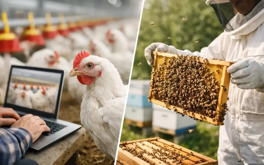 Why Up-to-Date Poultry and Beekeeping Listings Matter