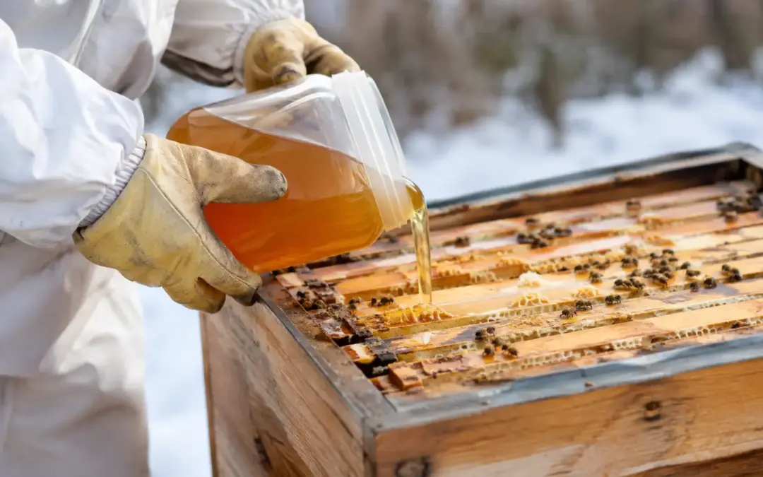 Feeding Bees for Winter: Get Stores Right
