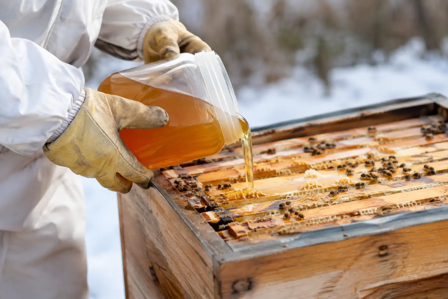 Feeding Bees for Winter: Get Stores Right